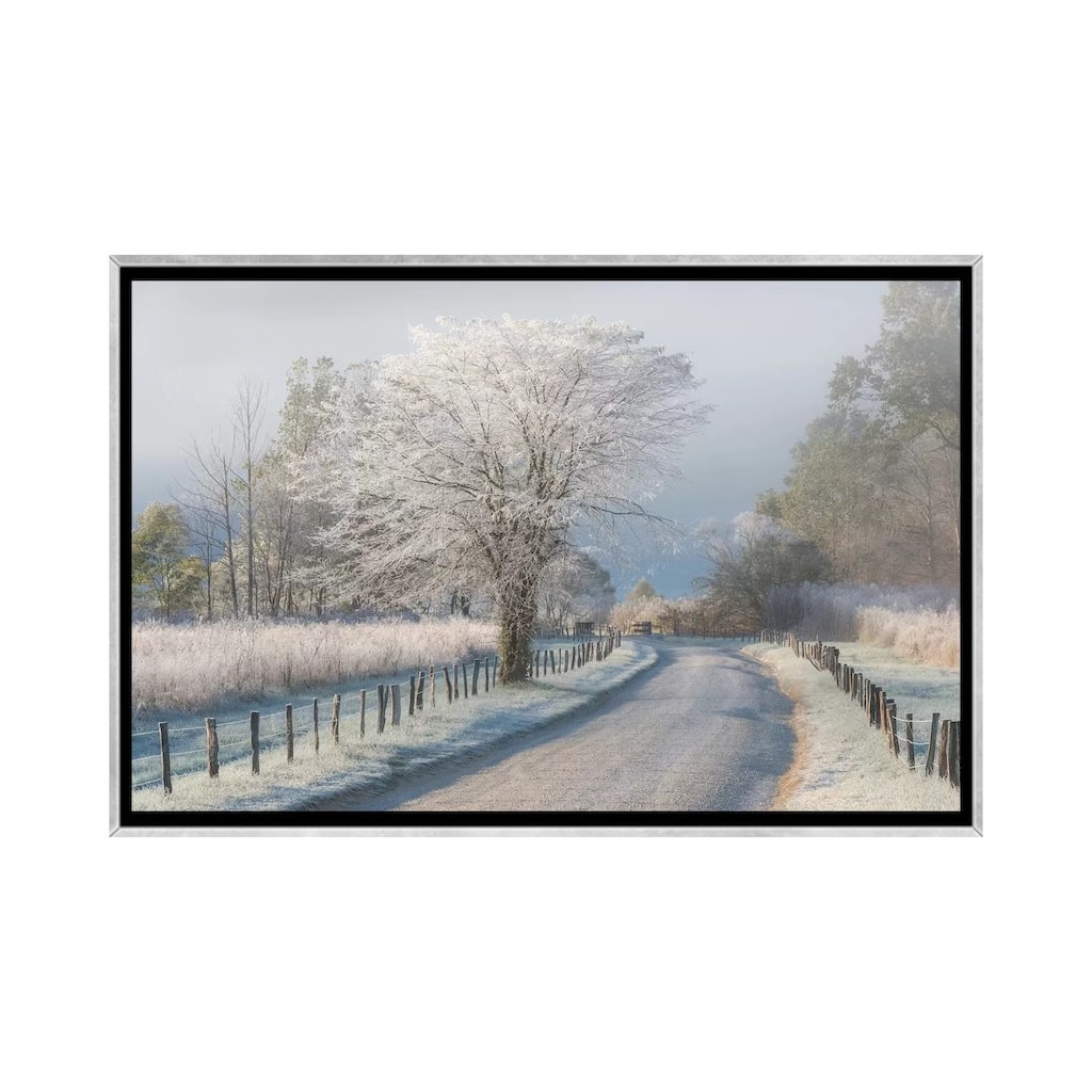iCanvas "A Frosty Morning" by Chris Moore Framed