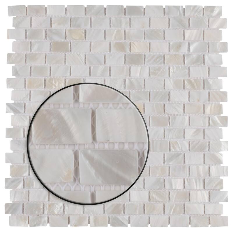 Merola Tile Conchella Subway White 11-1/2" x 11-7/8" Natural Shell Wall Tile
