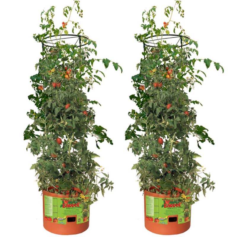 Hydrofarm GCTB Tomato Barrel Pot Garden Planting 4 Foot Trellis System (2 Pack) - 14