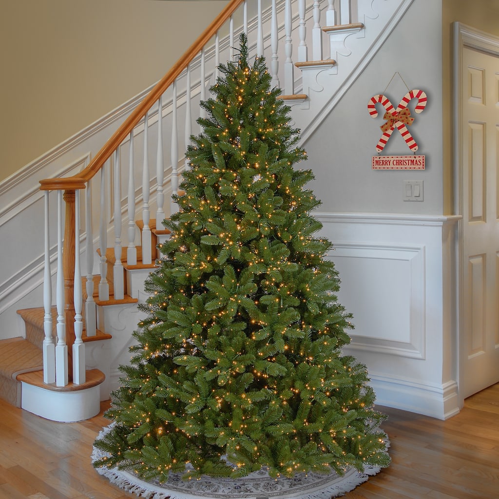 National Tree Company 7.5 ft. Downswept Douglas Fir Tree with Dual Color LED Cosmic Lights - 7.5 Foot