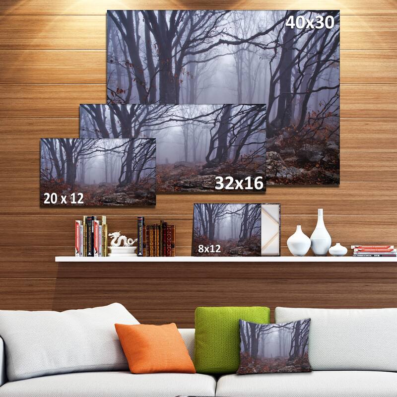 Dark Foggy Forest in Autumn - Landscape Photo Canvas Print