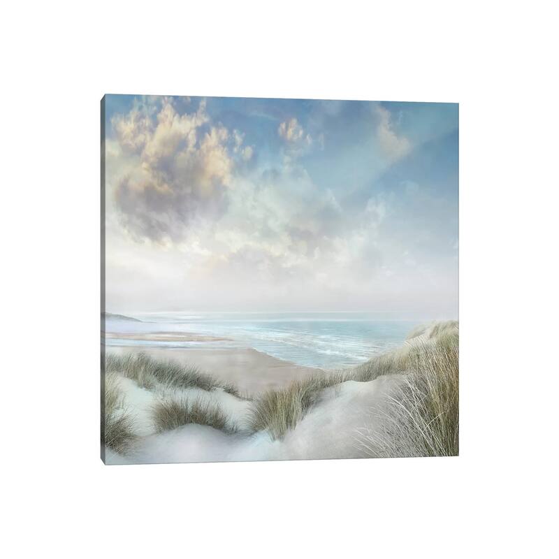 iCanvas "Windswept III" by Mike Calascibetta Canvas Print
