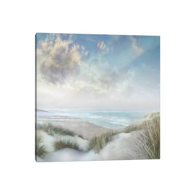iCanvas "Windswept III" by Mike Calascibetta Canvas Print