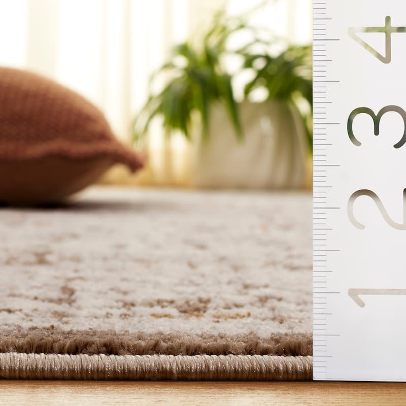 SAFAVIEH Leonette Saaskia Vintage Distressed Rug
