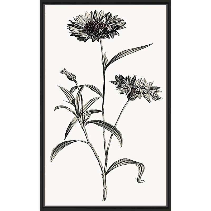 "Slender Imperial" Print on Floating Canvas