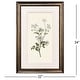 preview thumbnail 5 of 3, Paragon Botanical Whites Framed Art - Set of 2