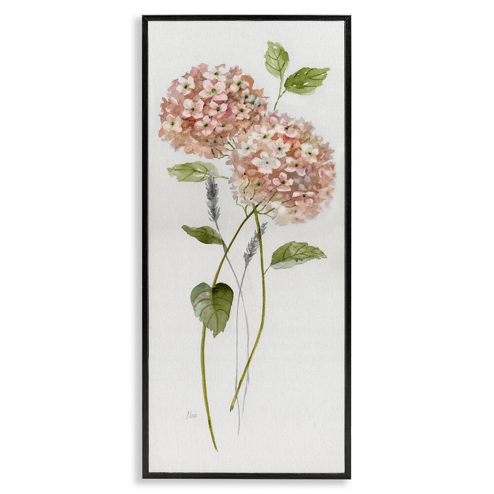 Stupell Two Pink Hydrangeas Framed Giclee Art Design By Nan