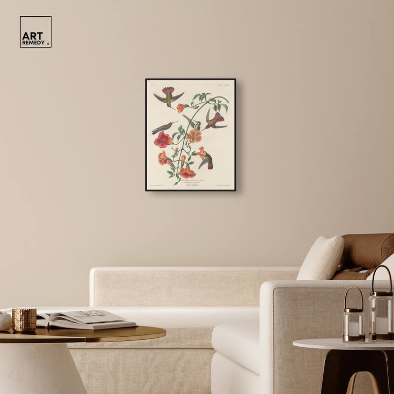 Humming Bird 1834 Canvas by Art Remedy