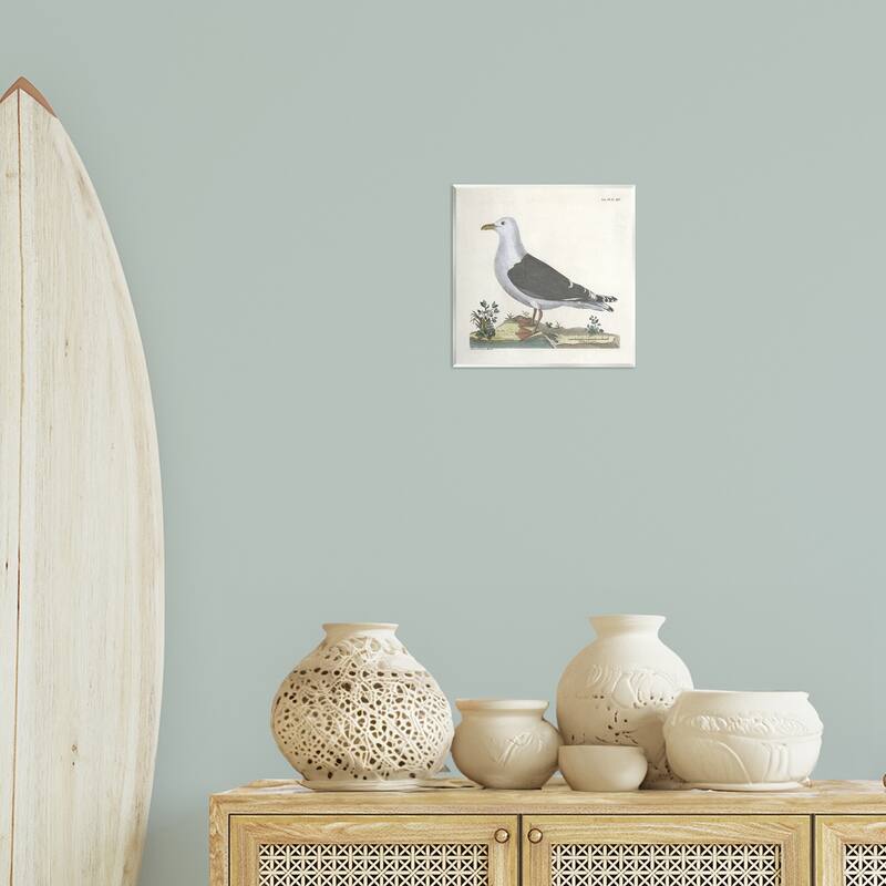 Stupell Vintage Seagull Study Diagram Wall Plaque Art Design By Phillipa Katz