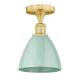 Option Seafoam / Satin Gold