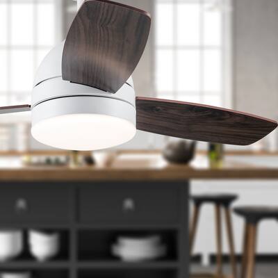 Morgan River of Goods 42-inch LED Integrated Ceiling Fan With Light - 42" x 42" x 12"/16"