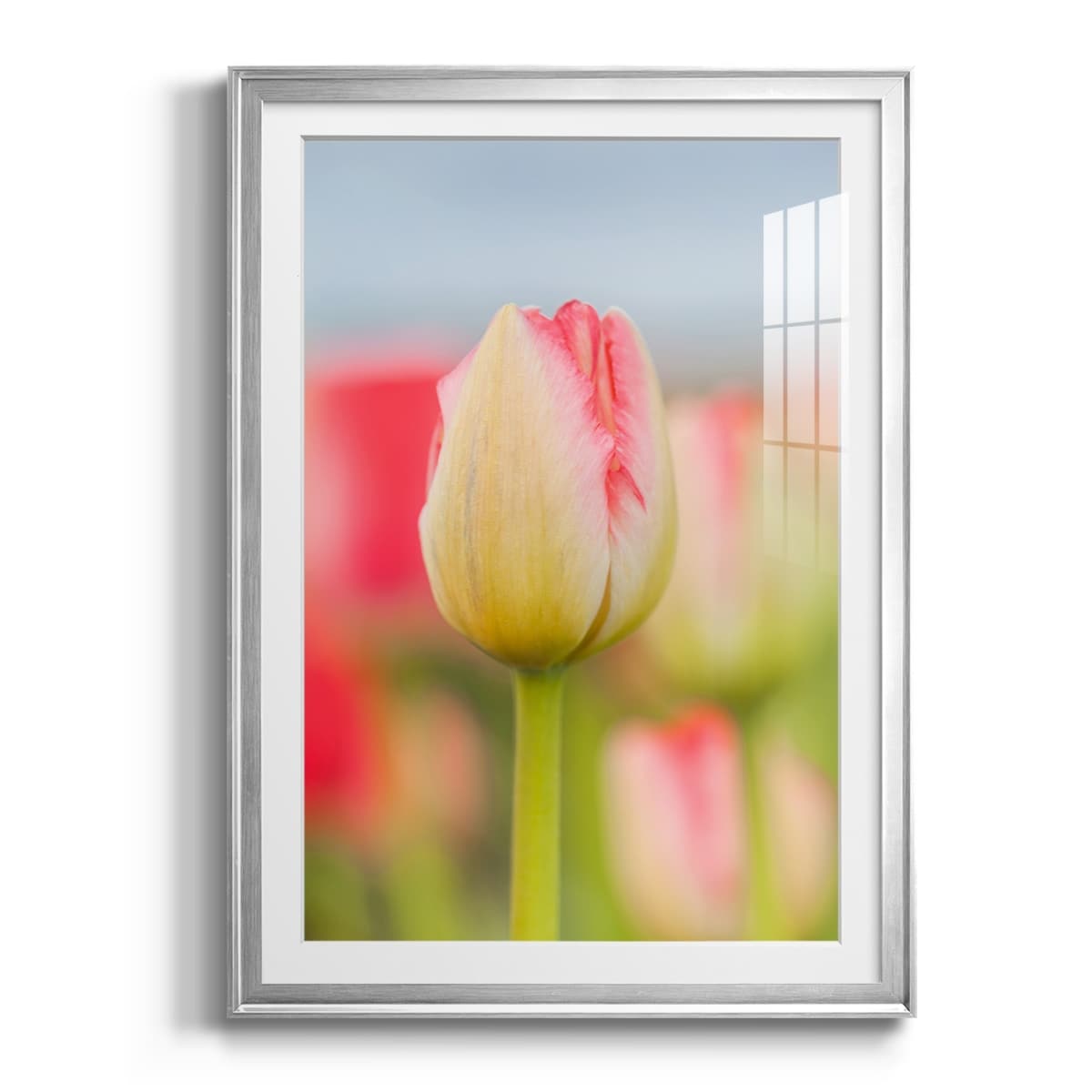 product-thumb