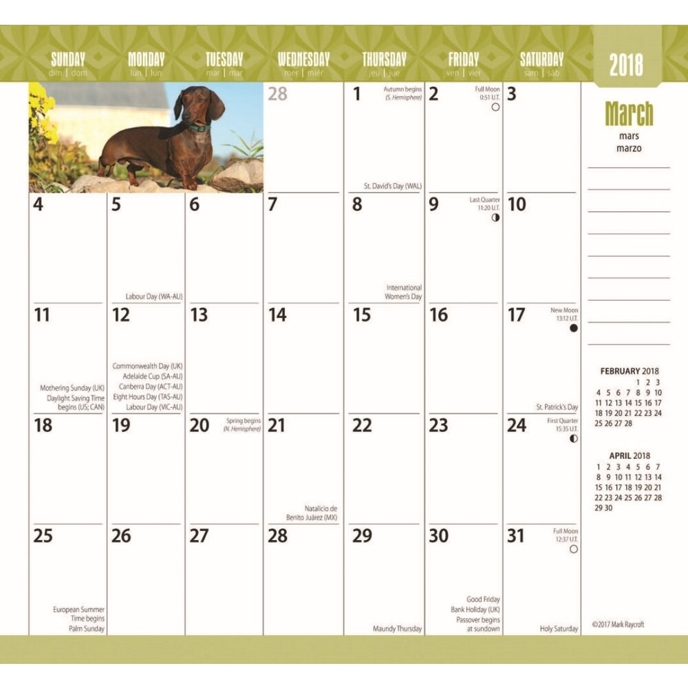 Shop 2018 Dachshunds Pocket Planner Dachshund By Browntrout