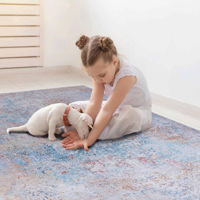 Machine Washable Rug 2'6"x10"',Non Slip Rugs for Living Room Bedroom Carpet Stain Resistant,Home Decor - 6' x 7'