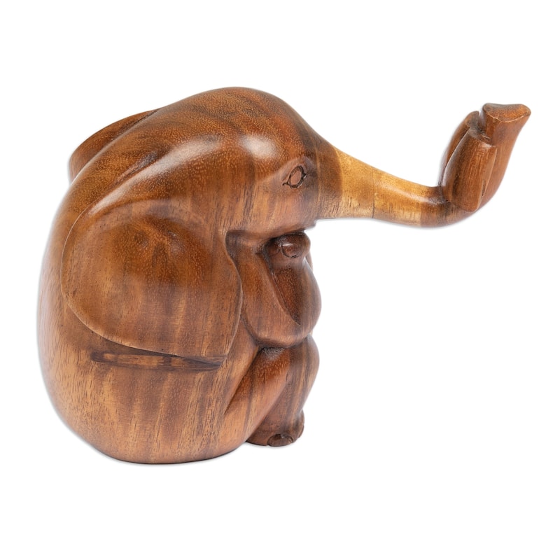 Novica Handmade Bookworm Elephant Wood Sculpture