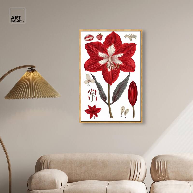 Amaryllis Anatomy Canvas by Art Remedy
