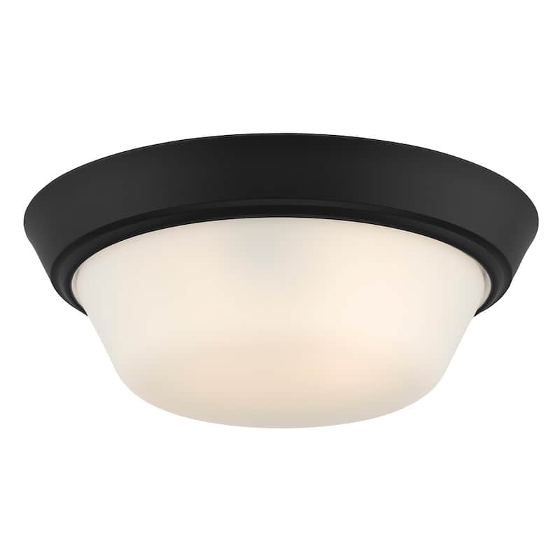 Progress Lighting P350303 Edessa 2 Light 13" Wide Flush Mount Bowl