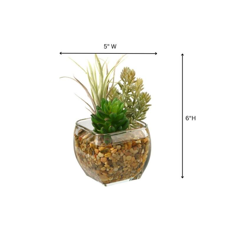 HomeStock Succulent and Flocked Burro Tail in Glass Cube - Textured Faux Plant for Contemporary Flair - 6