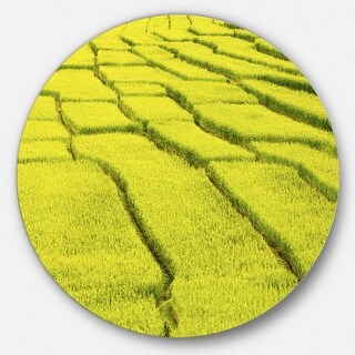 Designart 'Rice Field View' Landscape Photography Disc Metal Wall Art ...