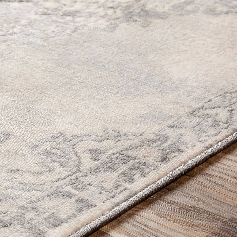 Prue Persian Medallion Area Rug - 2'7" x 7'3" Runner