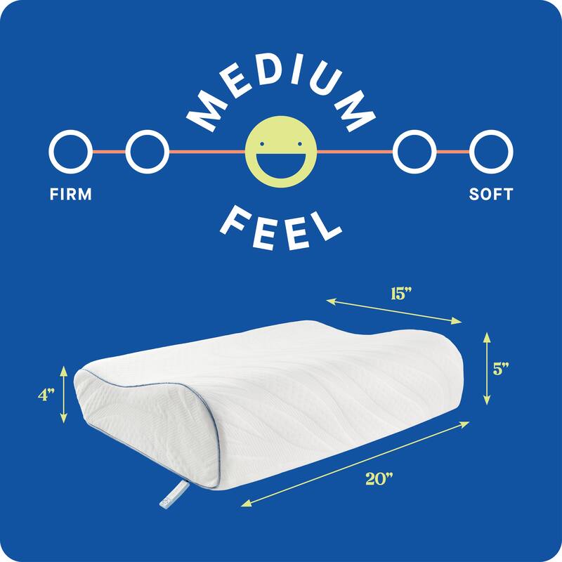 Sealy Dreamlife Contour Memory Foam Pillow, Standard