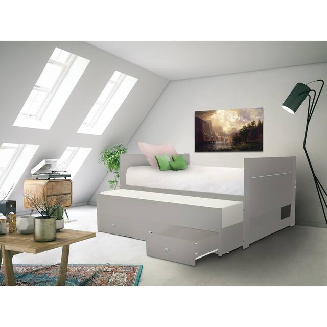 Taylor & Olive Begonia Twin Bed