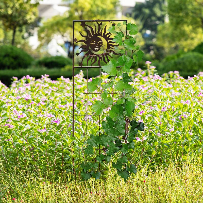 Glitzhome 48"H Metal Sun Garden Trellis Plant Climbing Stakes
