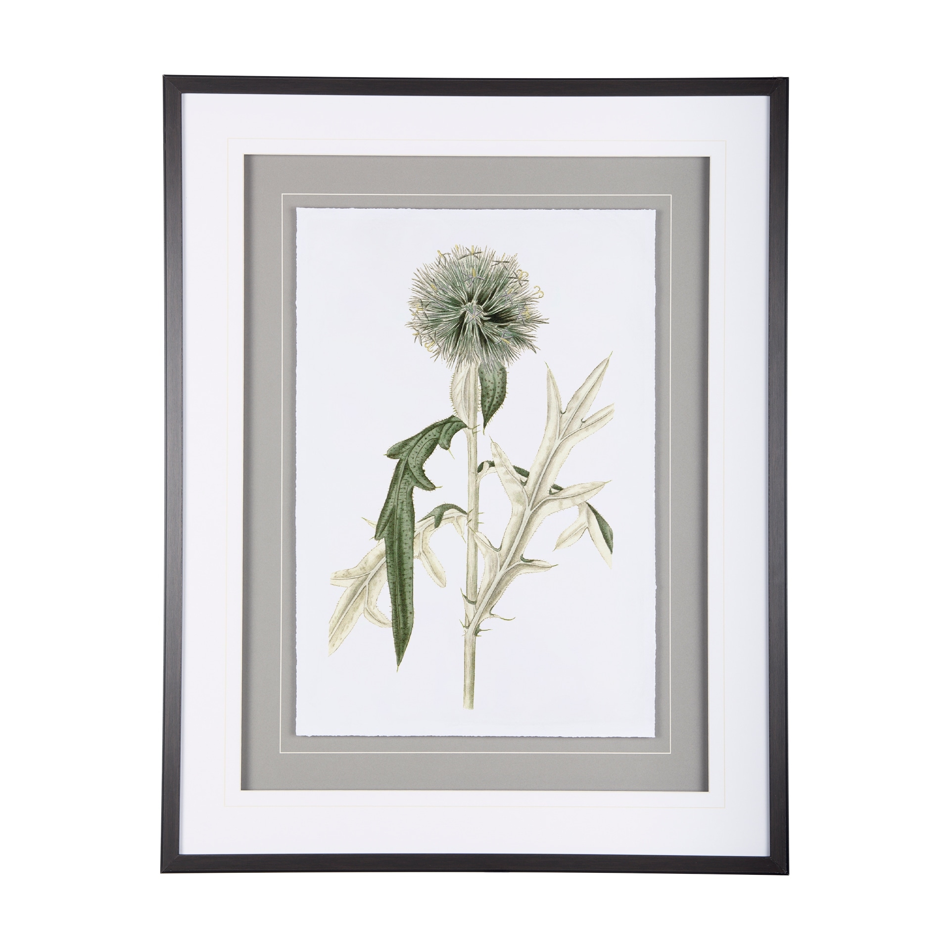 Mercana Soft Blue Botanoicals VI by Mercana Studio Hand Embellished Framed Art Print Matted under Glass