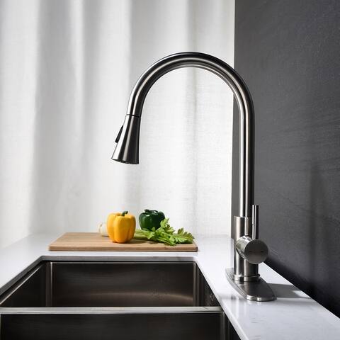 Single Handle Pull out Kitchen Faucet with Pull down Sprayer