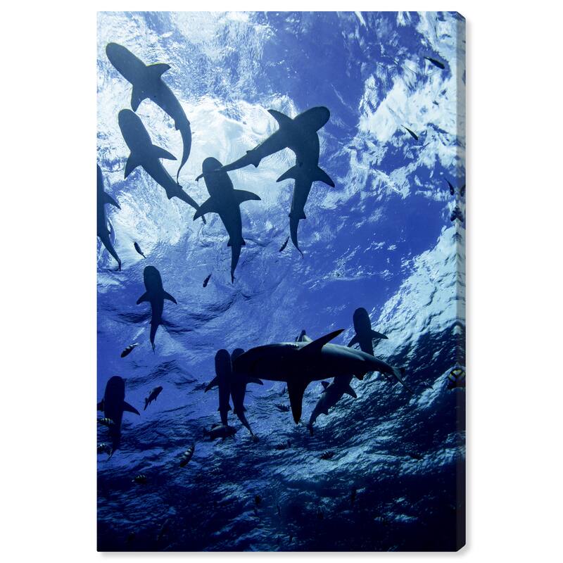 Wynwood Studio Canvas Animals David Fleetham - Blacktip Reef Shark II Blue and Nautical & Coastal Wall Art Canvas Print