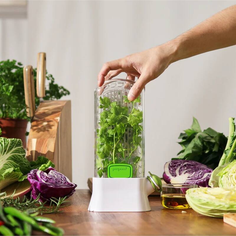 Prepara Set of 2 Herb Savor Fresh Herb Keeper