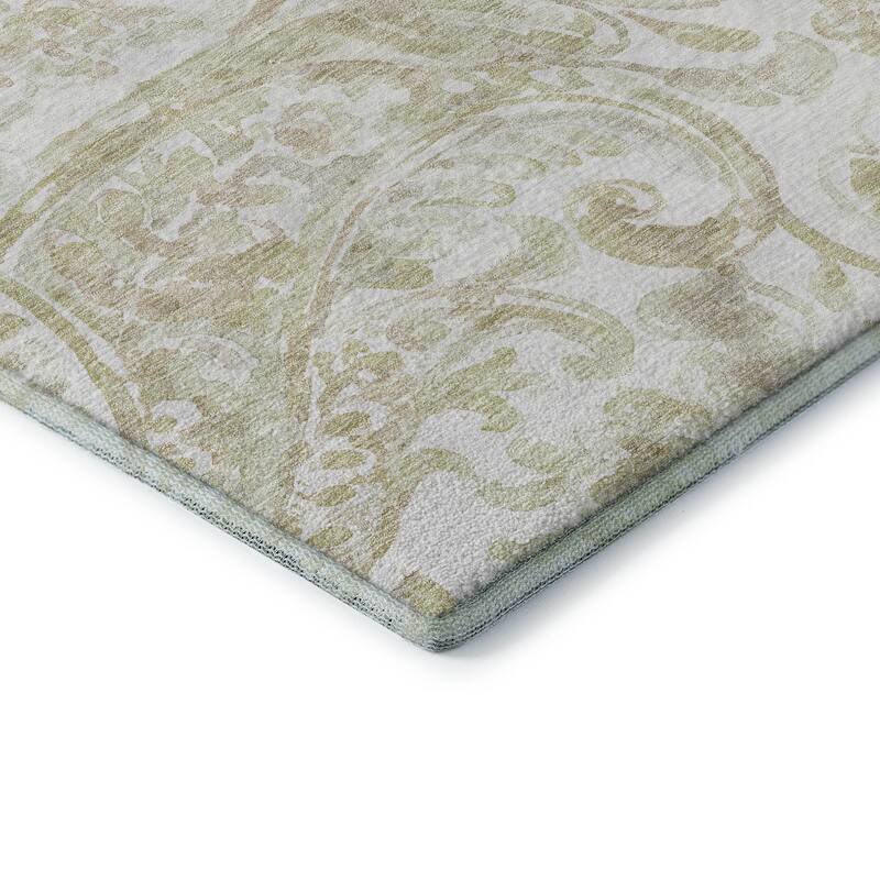 Premium Washable Super Soft Modern Paisley Mayfield Rug