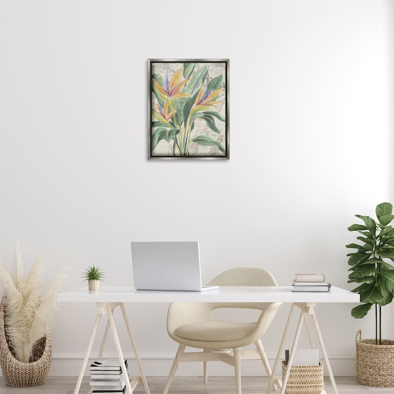Stupell Bird of Paradise over Map Framed Floater Canvas Wall Art Design By June Erica Vess
