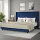 Option Navy Velvet