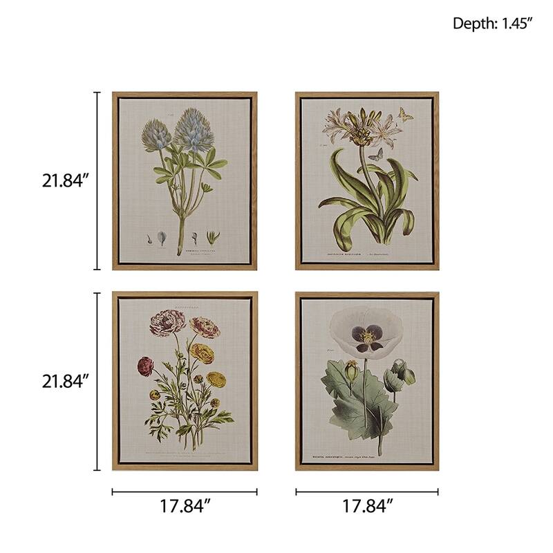 4-piece Botanical Illustration Framed Canvas Wall Art Set - Green