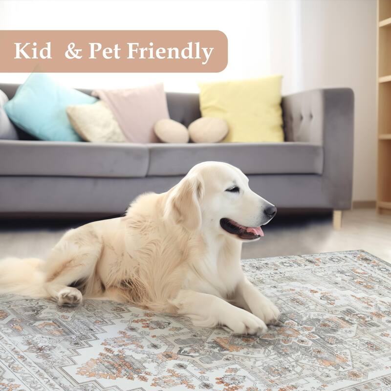 DriftAway Area Rug Washable Rugs for Living Room Non Slip Rubber Backing Low Pile Non Shedding Boho Foldable Vintage Rugs