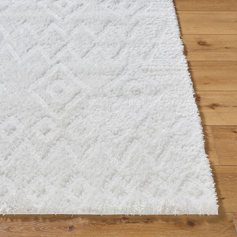 Livabliss Nomadic Boho Modern Plush Area Rug