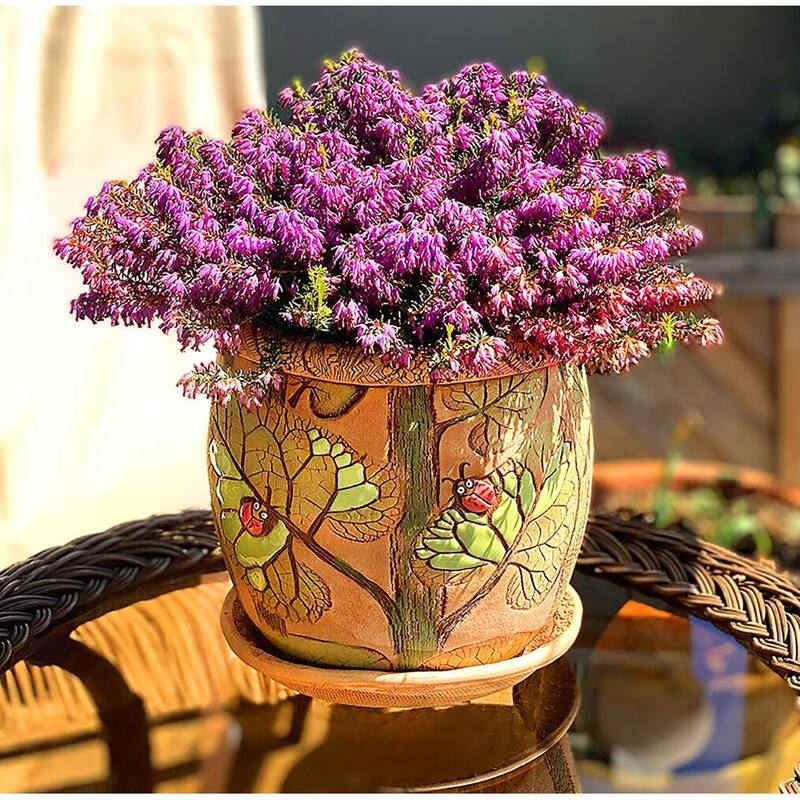 Golden Ceramics 7.5" Handmade Flower Pot Planter - Ladybugs
