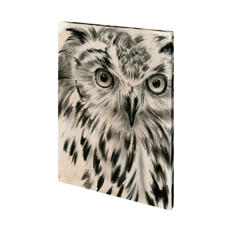 Charcoal Owl I Canvas Art Print - Large