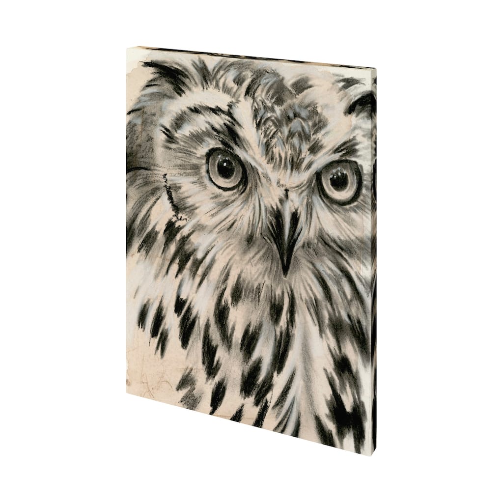 Charcoal Owl I Canvas Art Print
