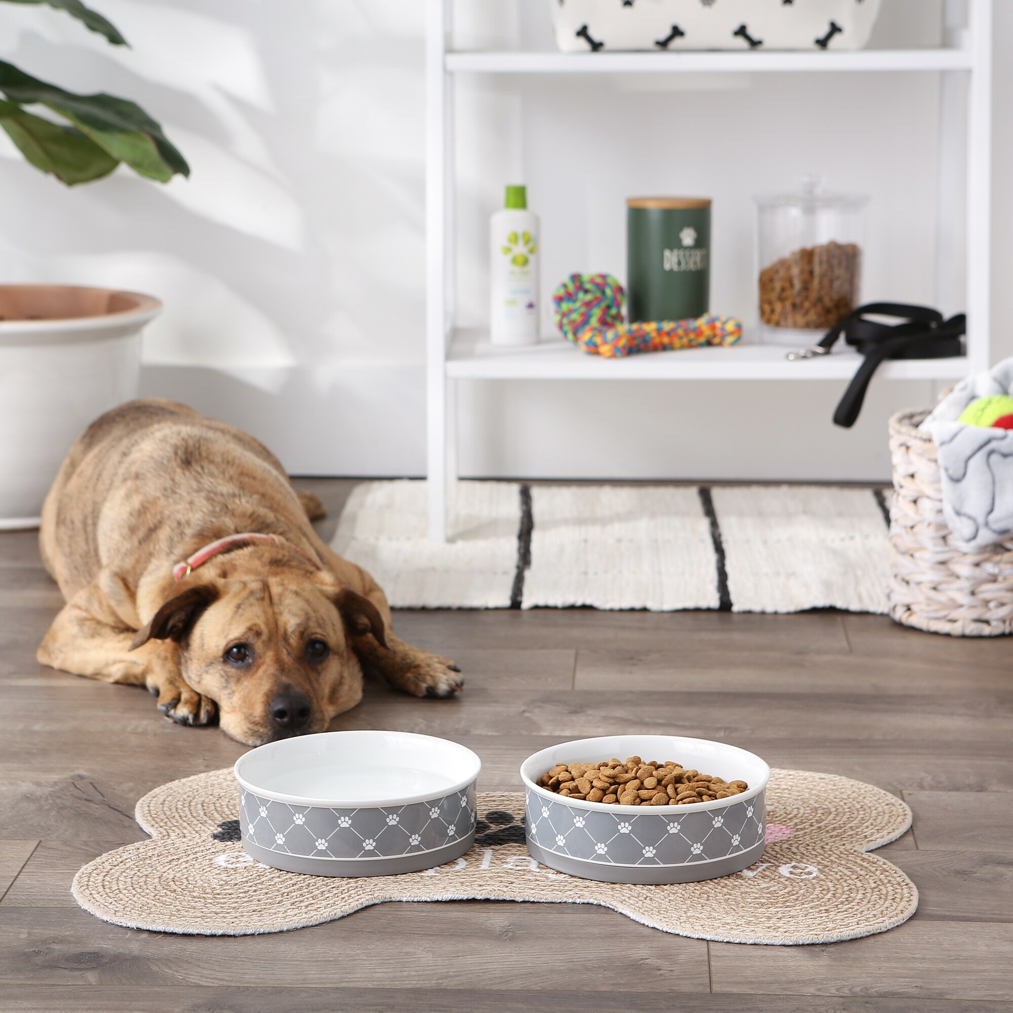 Bone dry dog store bowls