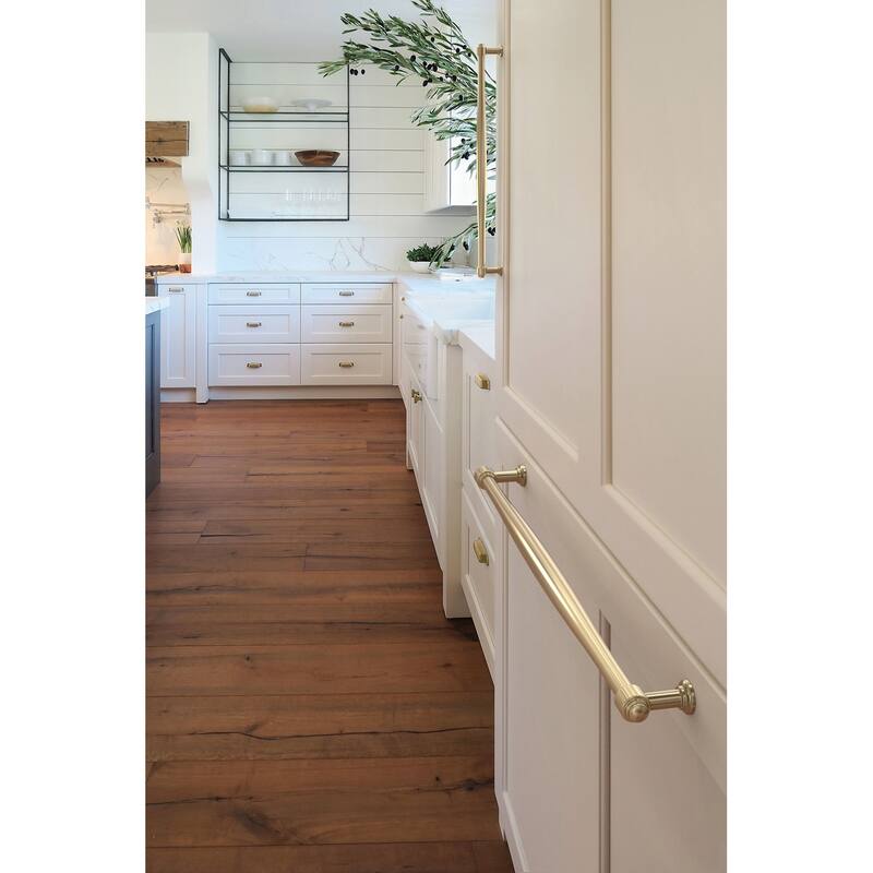 Amerock BP37730 Enlivity 18" Center to Center Appliance Pull