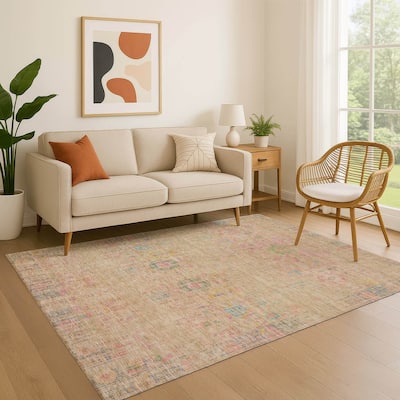 Premium Washable Super Soft Vintage Boho Mayfield Rug