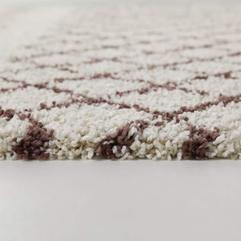 Catrin Diamond Trellis Shag Area Rug