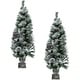 preview thumbnail 1 of 3, Fraser Hill Farm 4-Ft. Christmas Snow Flocked Porch Trees