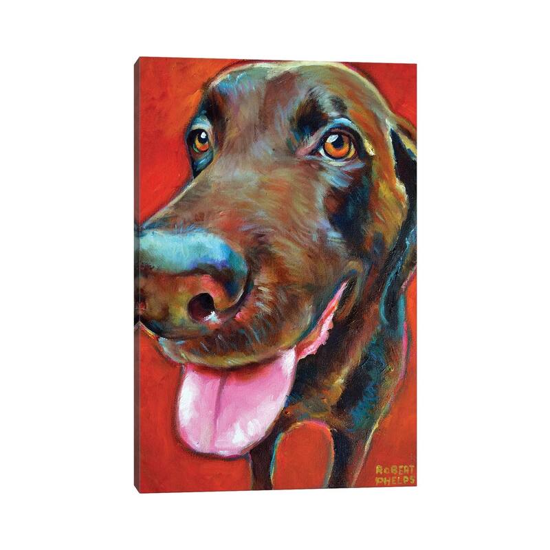 iCanvas "Chocolate Lab" by Robert Phelps Canvas Print