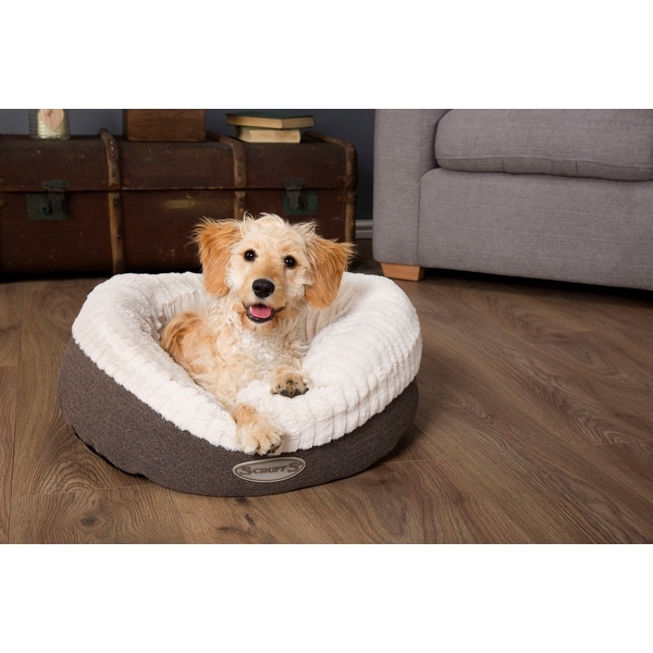 Scruffs xl top dog bed