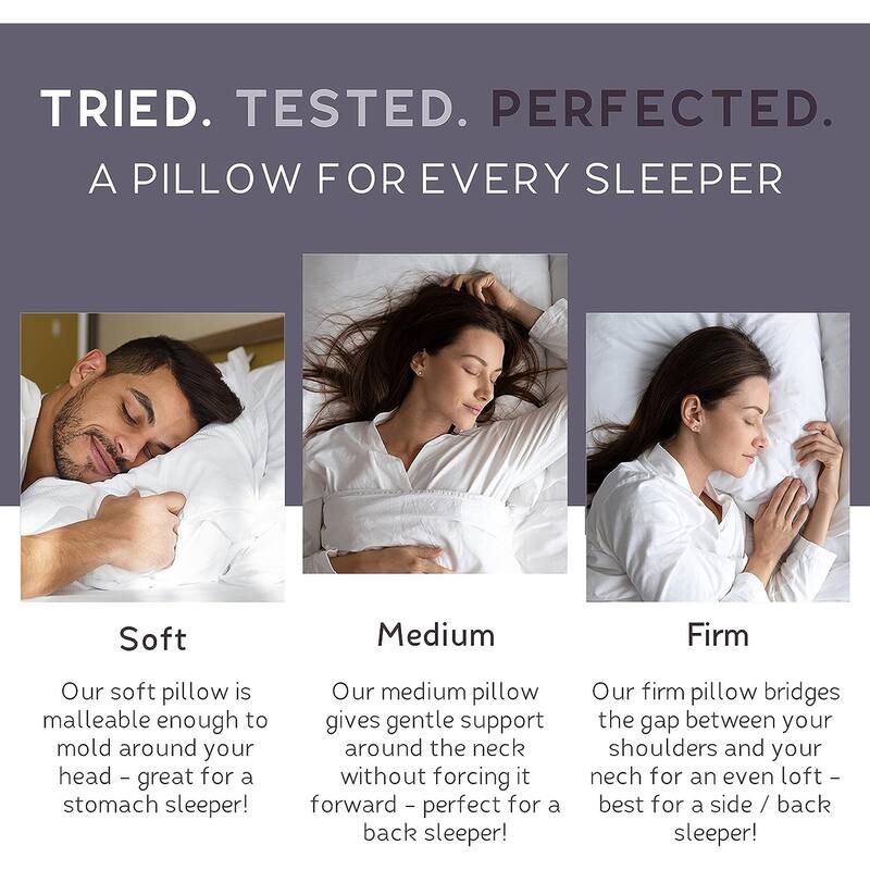 Lincove European Down Venus Pillow - 600 Fill Power - Count Shell
