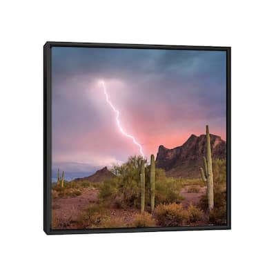 iCanvas "Saguaro (Carnegiea Gigantea) Cacti, Picacho Peak State Park, Arizona" by Tim Fitzharris Framed Canvas Print