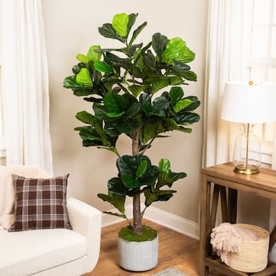 Potted Two Tone Green Artificial Wide Fiddle Leaf Fig Tree - 6.25'